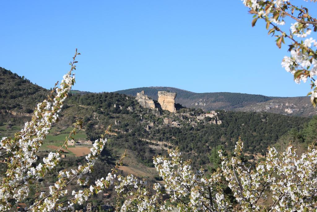 Gite La Cerise Qui Rit La Cresse Экстерьер фото